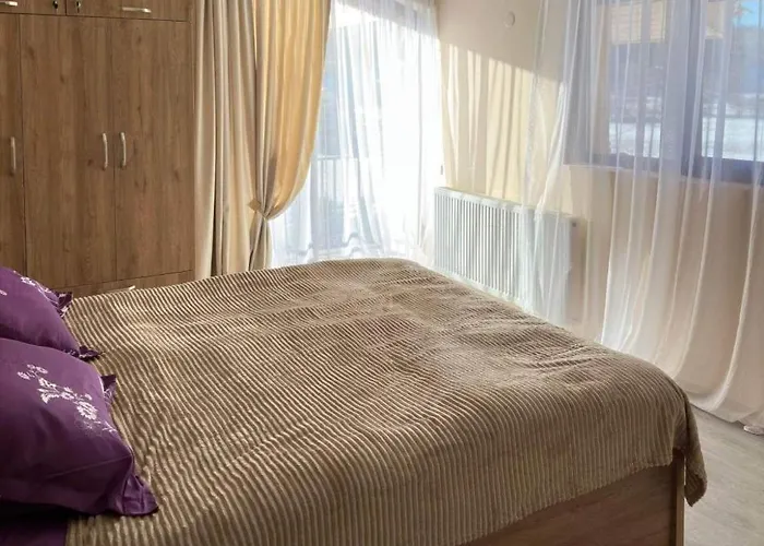 Warm Villas In Bakuriani